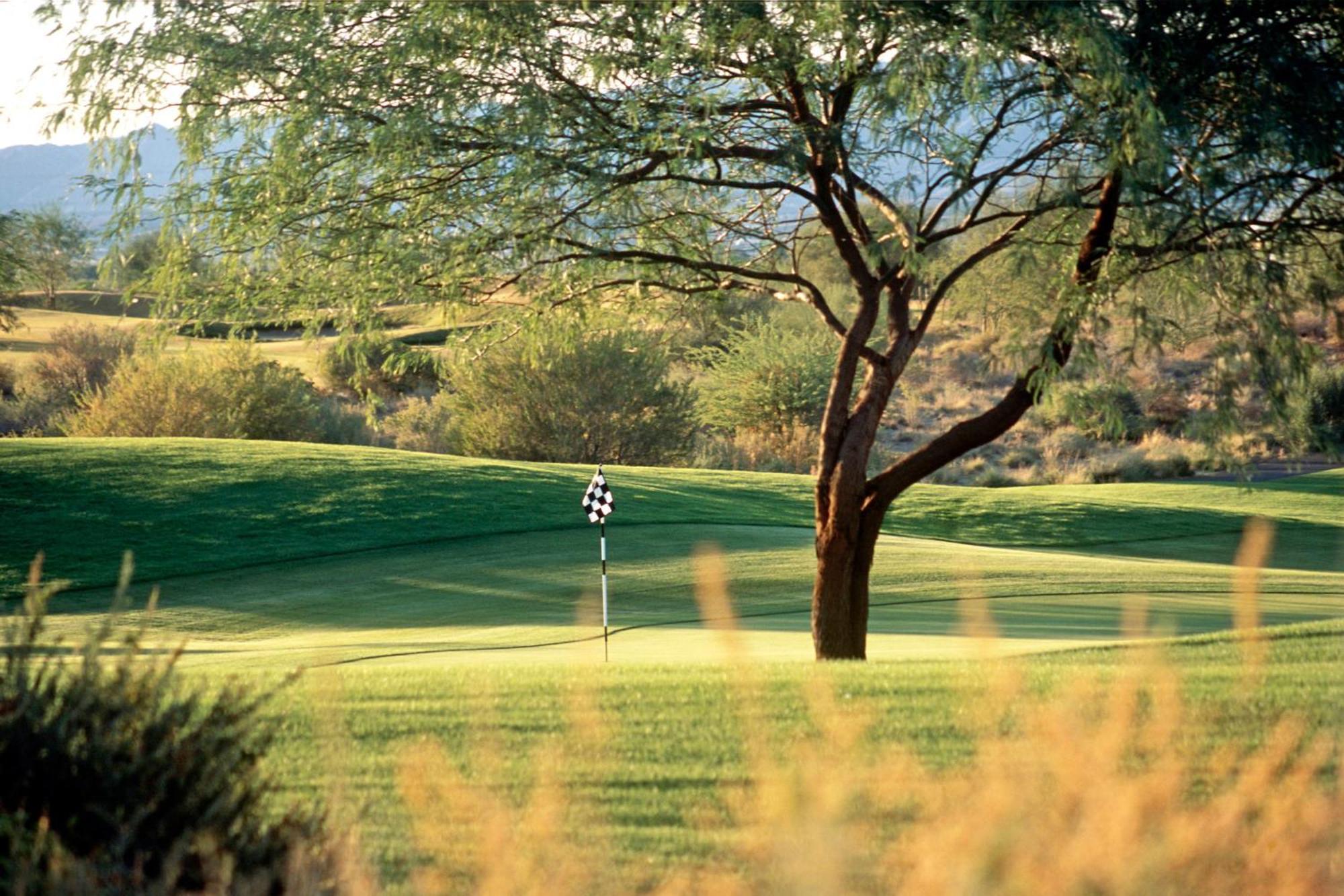Sheraton Grand At Wild Horse Pass Chandler Buitenkant foto